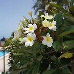 La Romera Lägenhet *